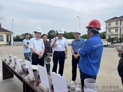 九三學(xué)社黃山市委員會(huì)走進(jìn)六國(guó)化工綠陽(yáng)建材開展專題調(diào)研